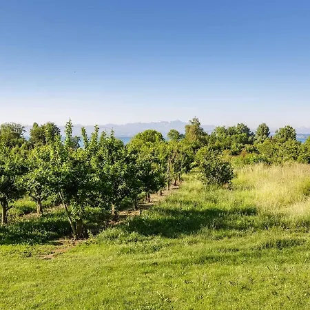 بيت للعطل Ferienwohnpark Nurdachhaus Typ 7 Nd 01